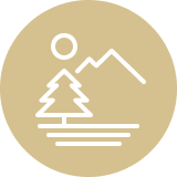 stylized mountain and evergreen tree